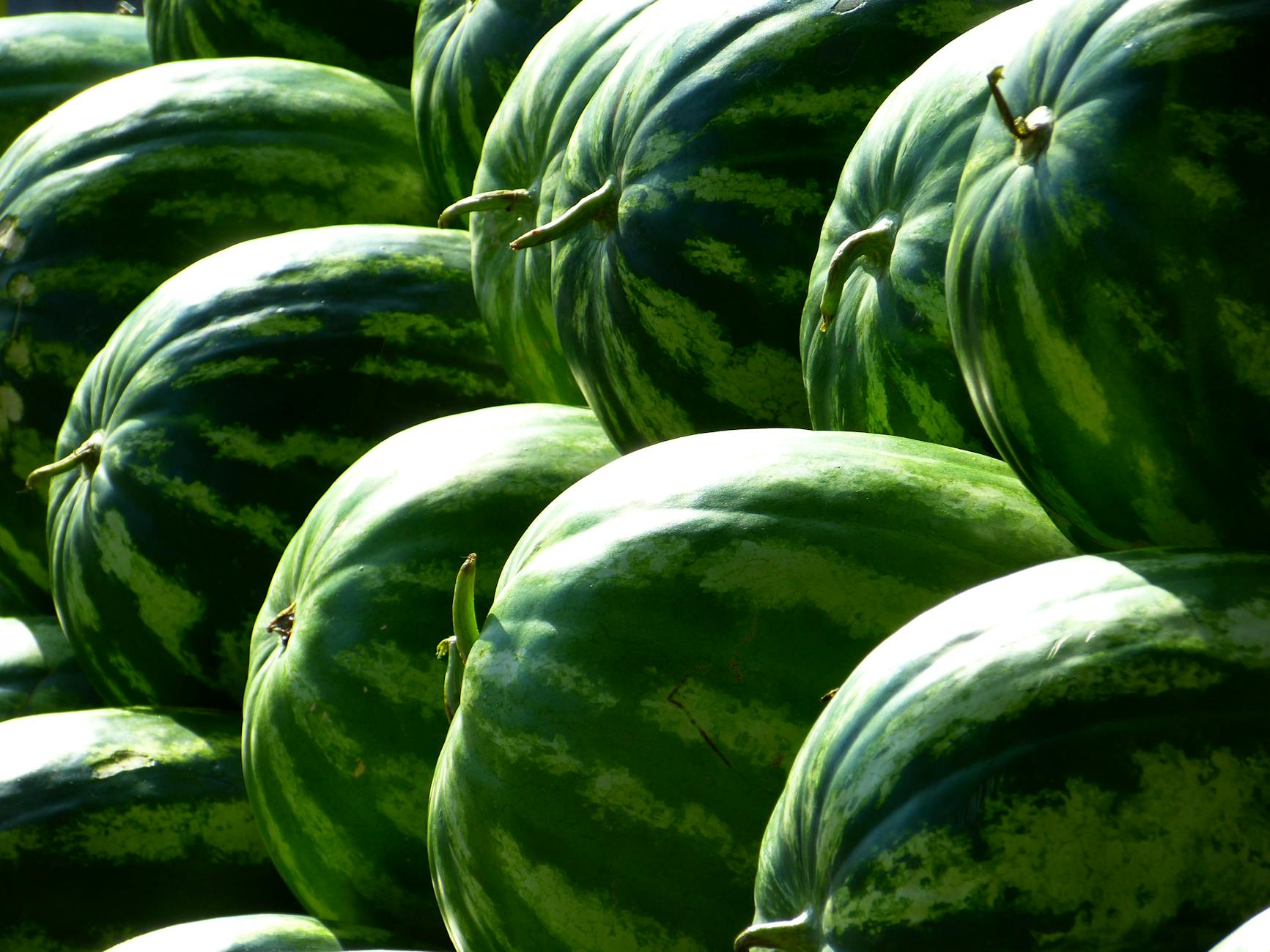 green piled watermelon