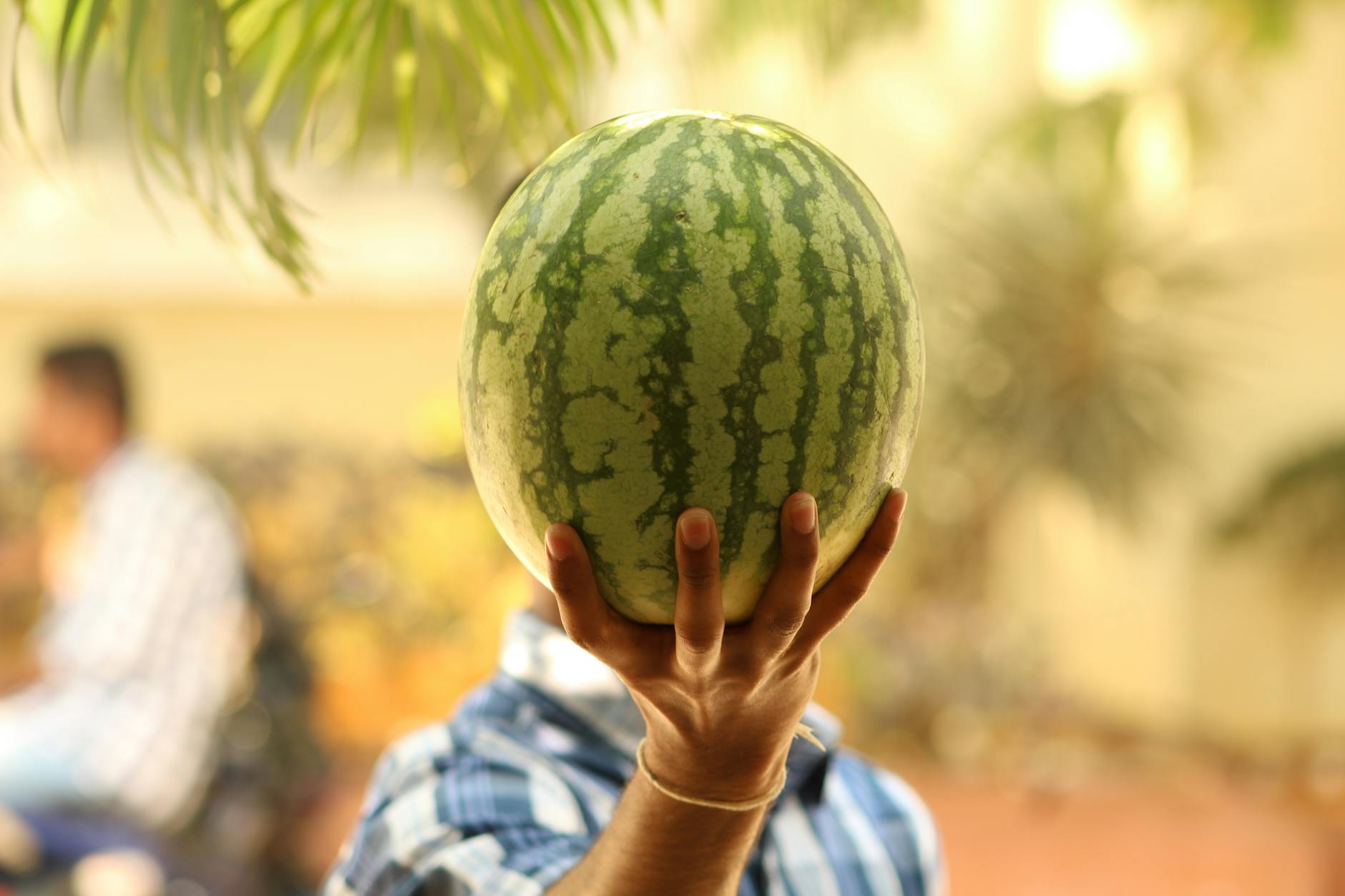 selective focus photo of man raising the watermelon